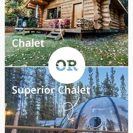 Rocky Mountain Escape Dome & Log Cabin Rentals - Rock Lake Rock Lake Lodge Provincial Park Extérieur photo
